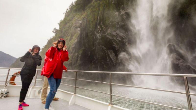 Experience Milford Sound, the 8th wonder of the world, with a fascinating Coach & Cruise trip brought to you by Southern Discoveries.